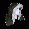 Used M-65 OR M-51 HOOD